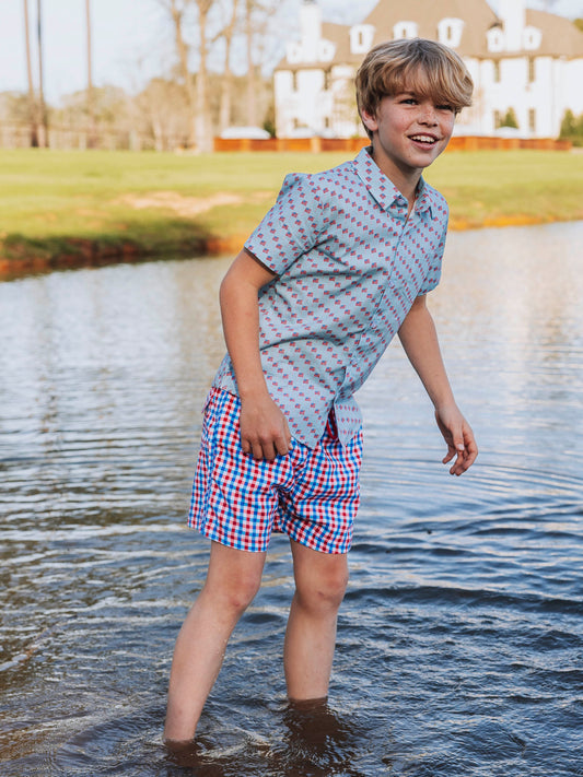 Boy's Swim Trunks - USA Gingham