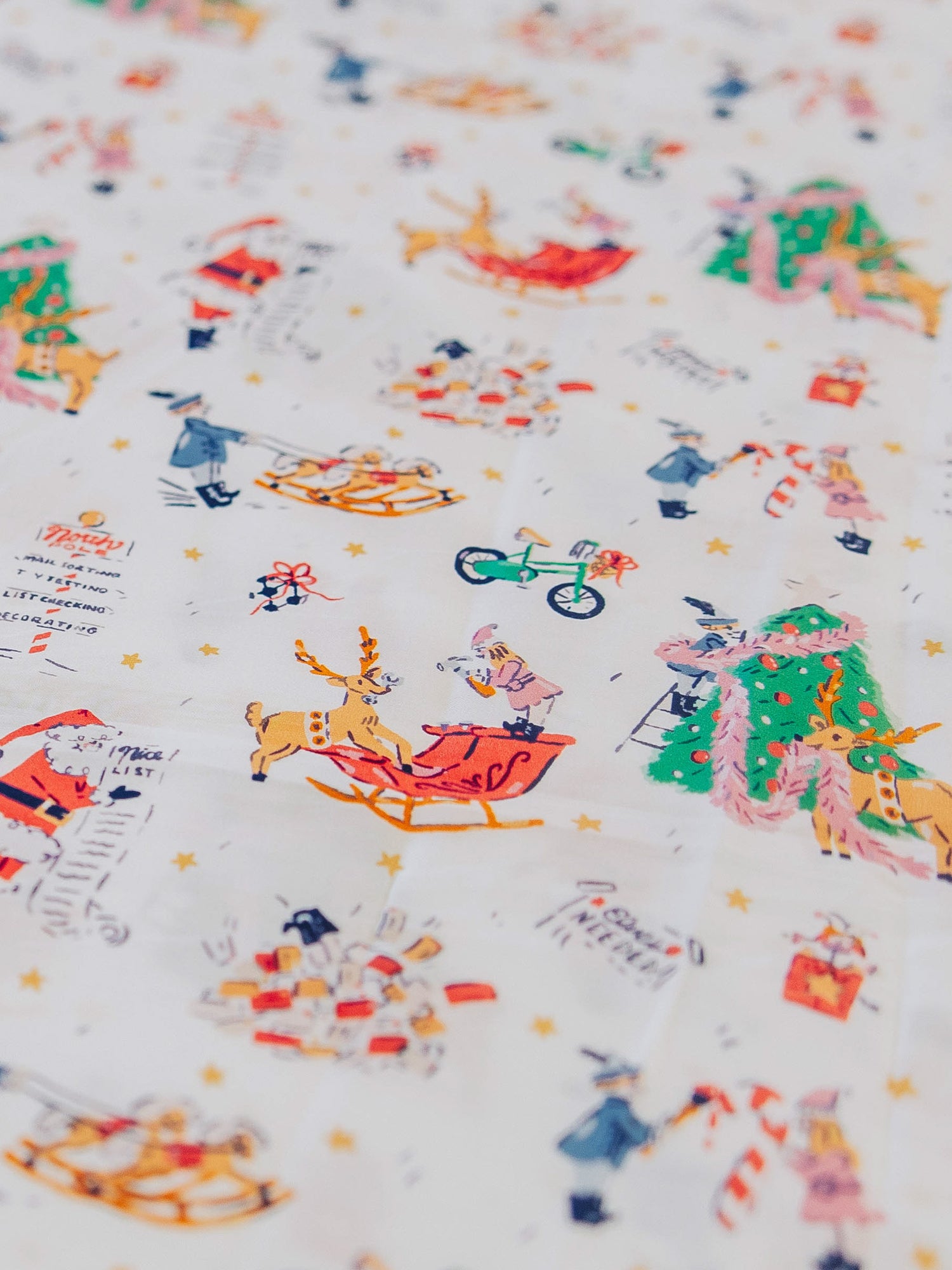 Close up of North Pole print
