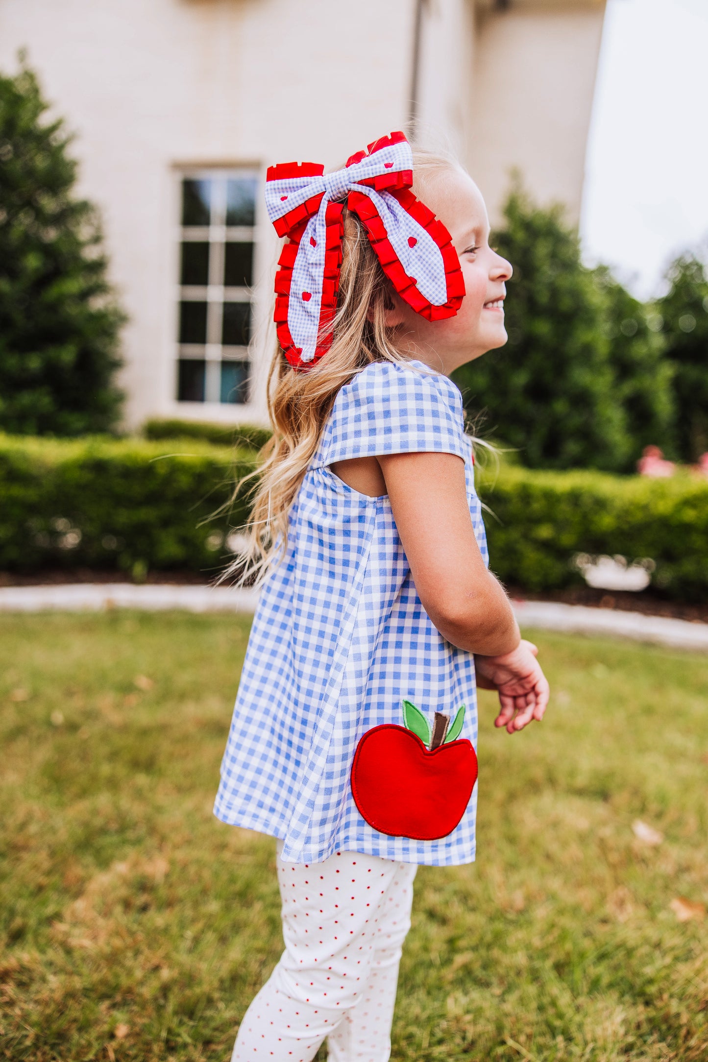 Out to Play Set - Blue Gingham Apple
