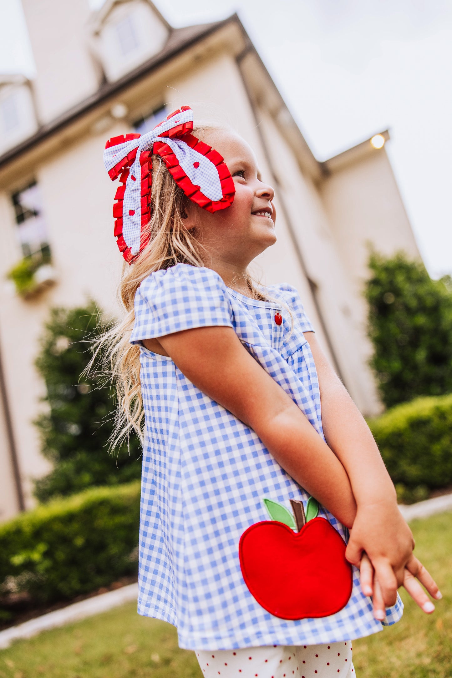Out to Play Set - Blue Gingham Apple