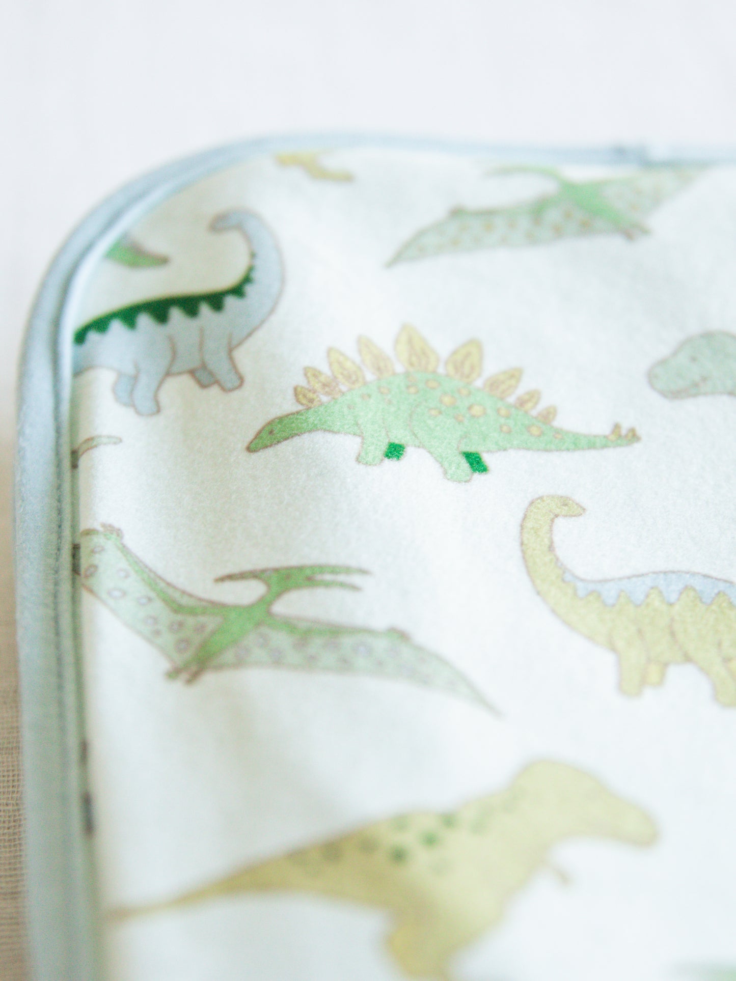 Dreamer Blanket - Dino Roar