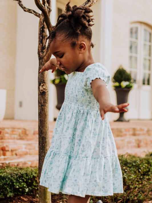 Puff Sleeve Dress - Periwinkle Blues